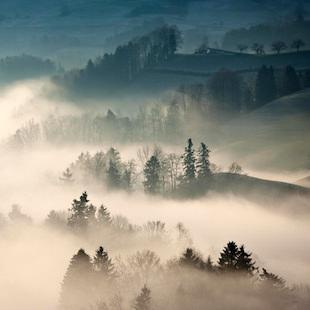 Auld Lang Syne album cover