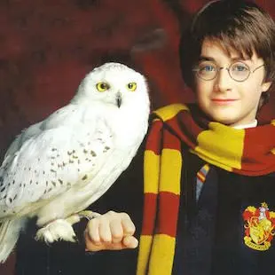 Hedwig's Theme – Harry Potter album cover