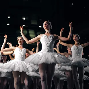 Dance of the Sugar Plum Fairy – The Nutcracker album cover